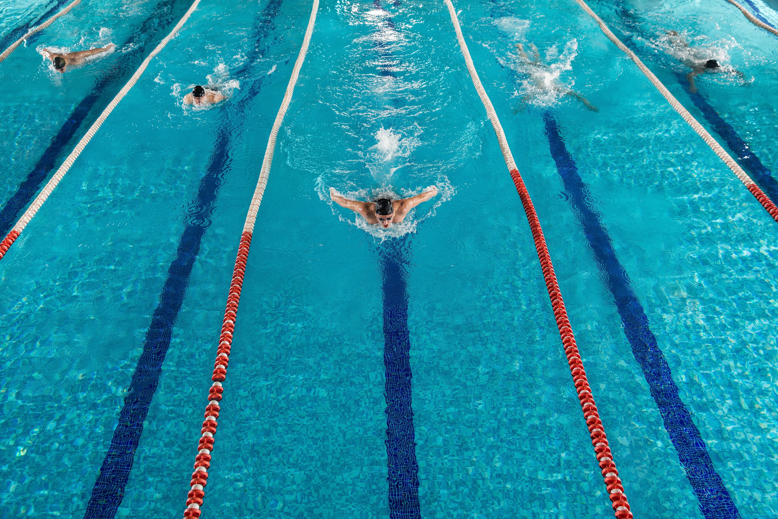 Five swimmers racing against each other in one of the swimming pools in Brighton.