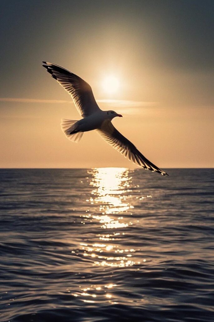 20251008 125254 Fc06b8ebcfce6a6a 75c404bd 99ce 4307 8558 63bfe1a343c5