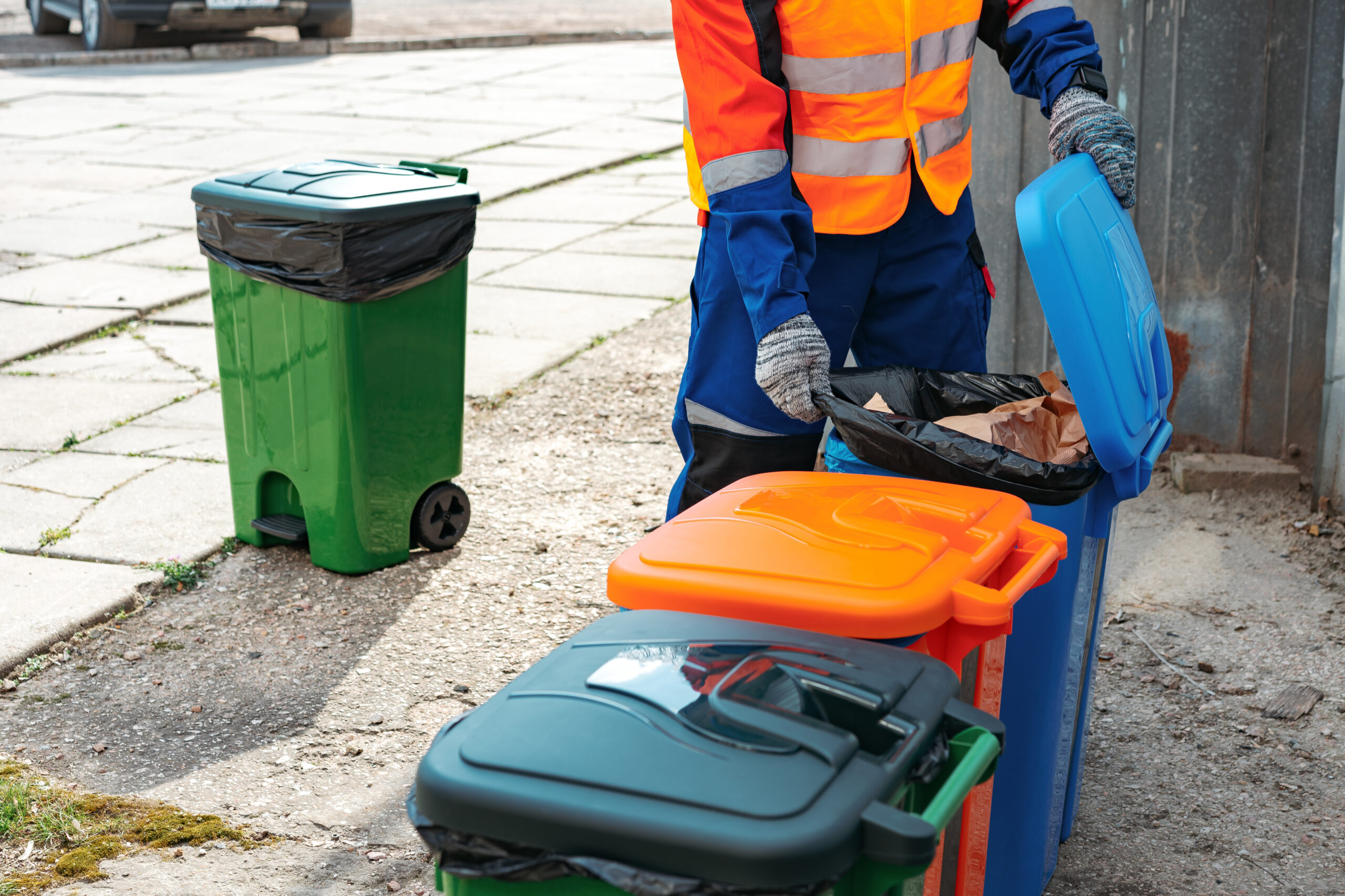Brighton bin collection