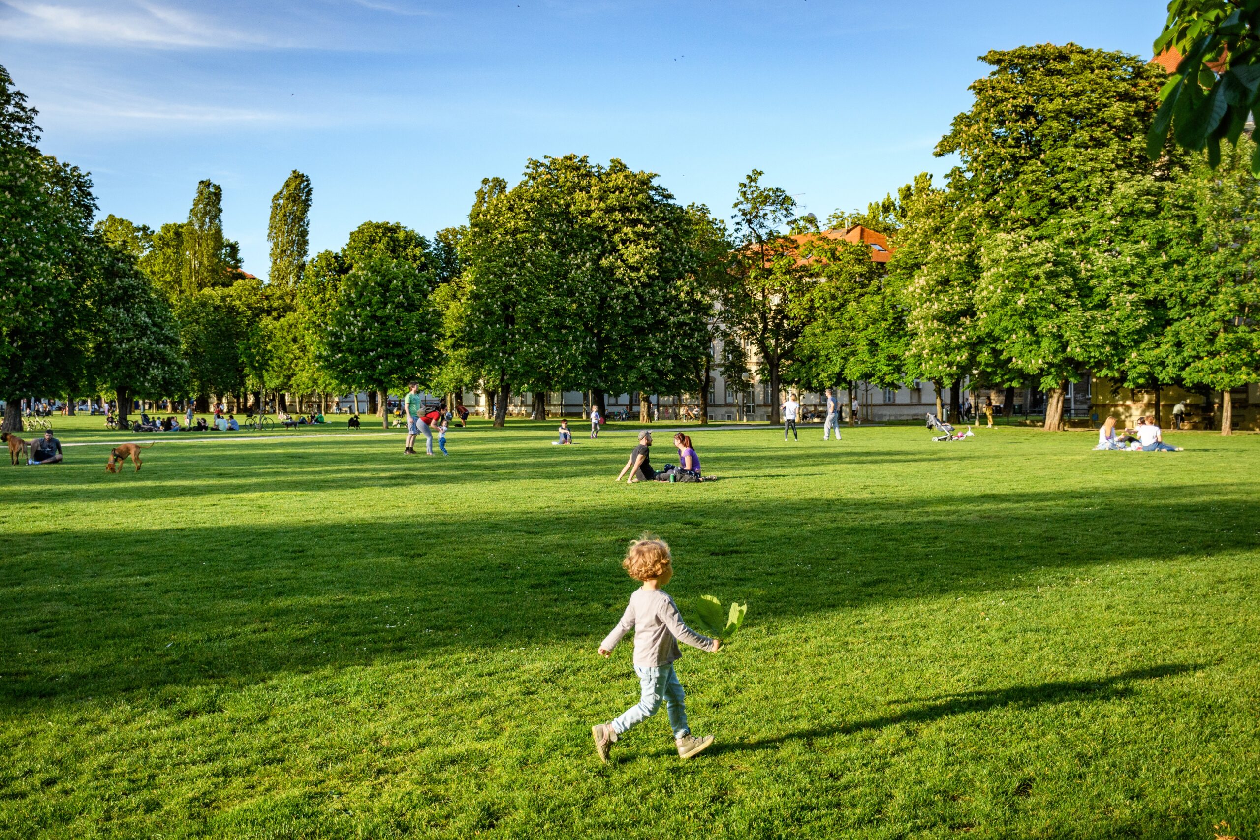 Parks in Brighton. Child running around in green park on a sunny day.

