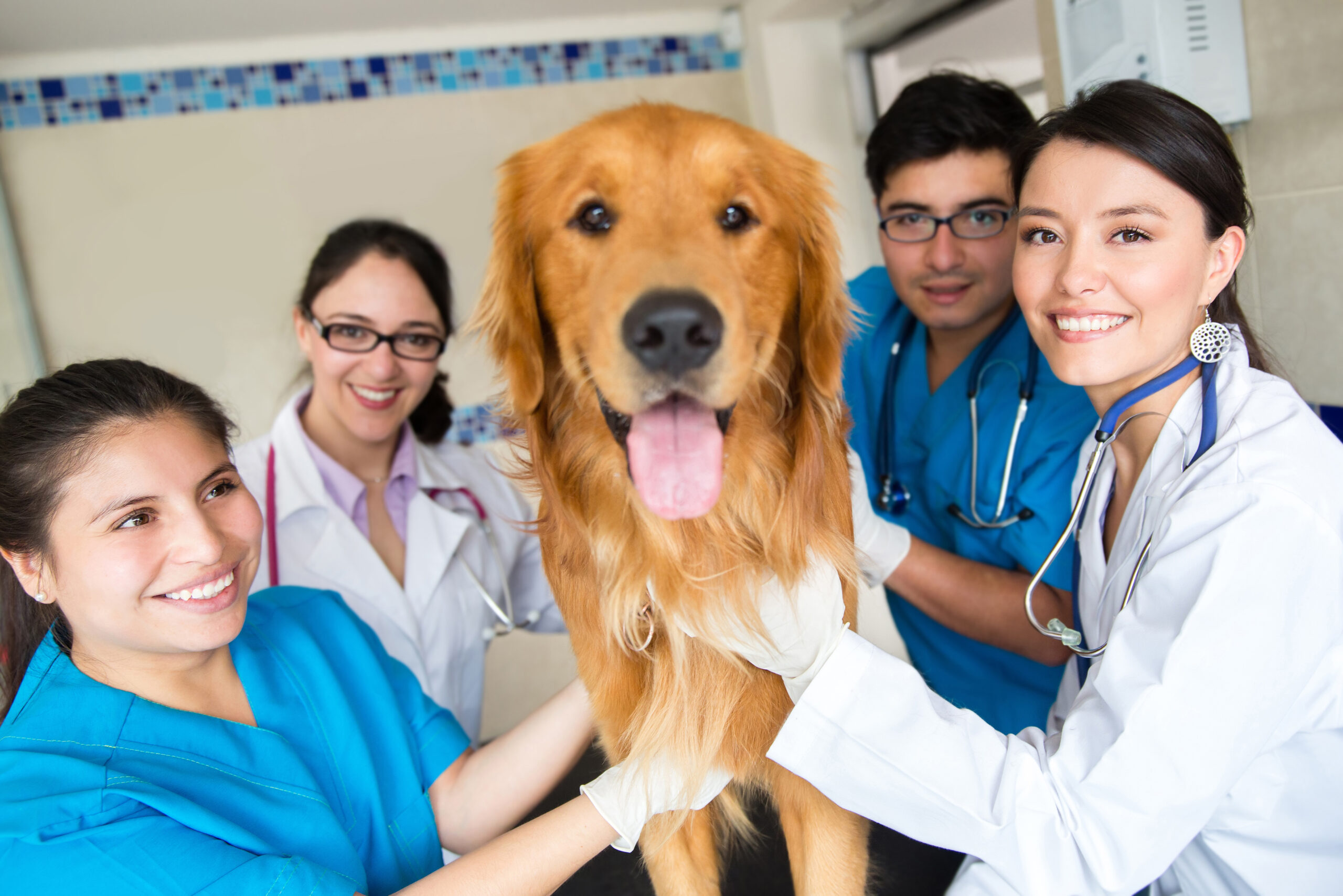 Vets posing with a dog