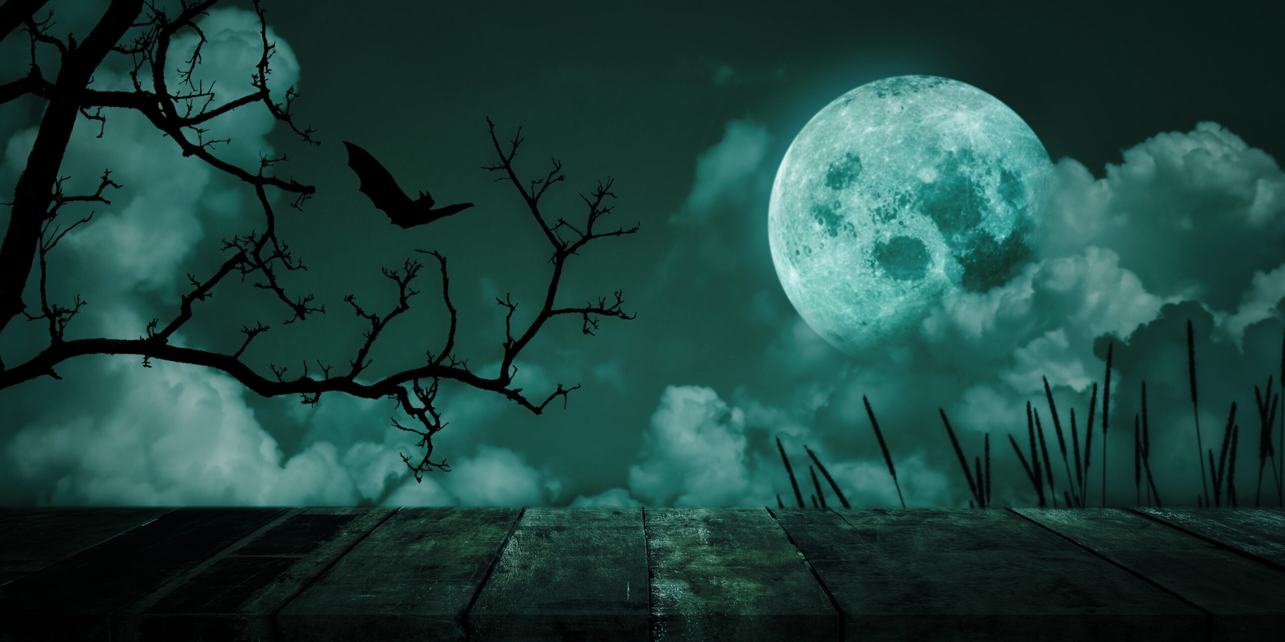 Halloween Background Spooky Forest 