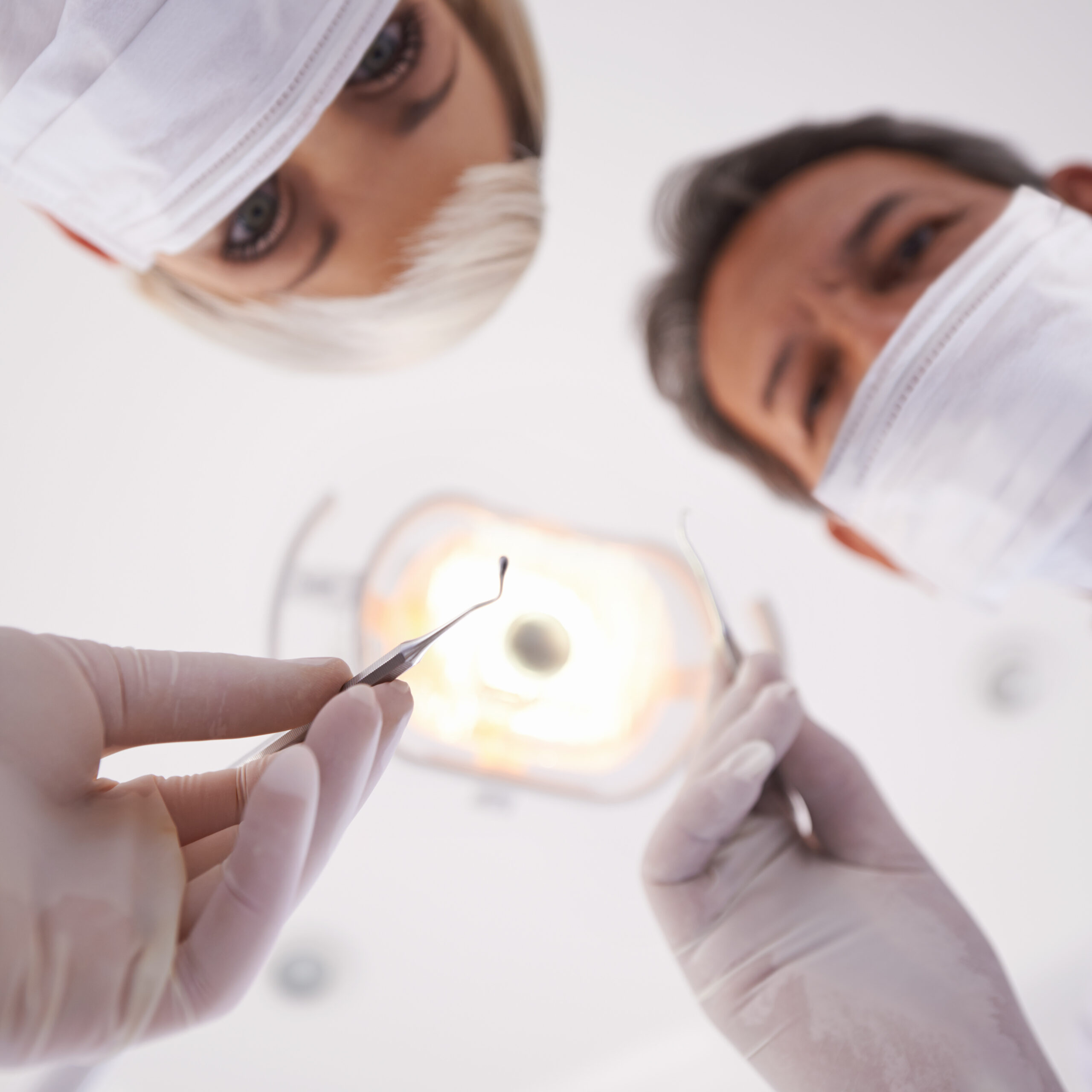Dentists in Brighton Performing Dental Checkup in Bright Office