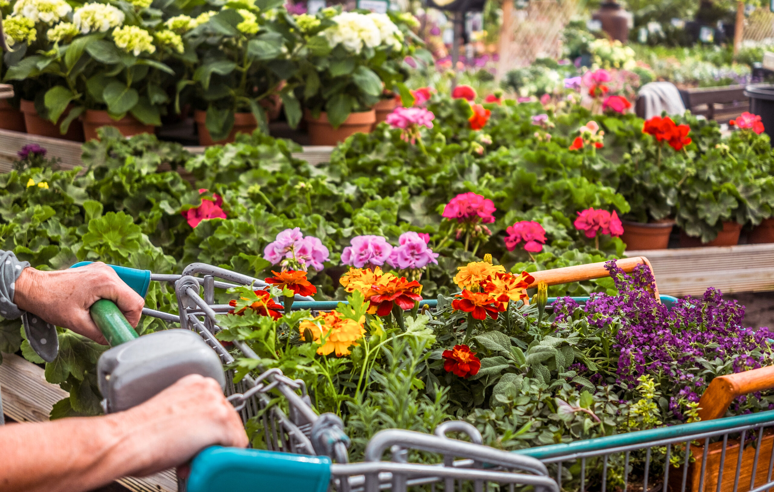 A shopping cart full of flowers