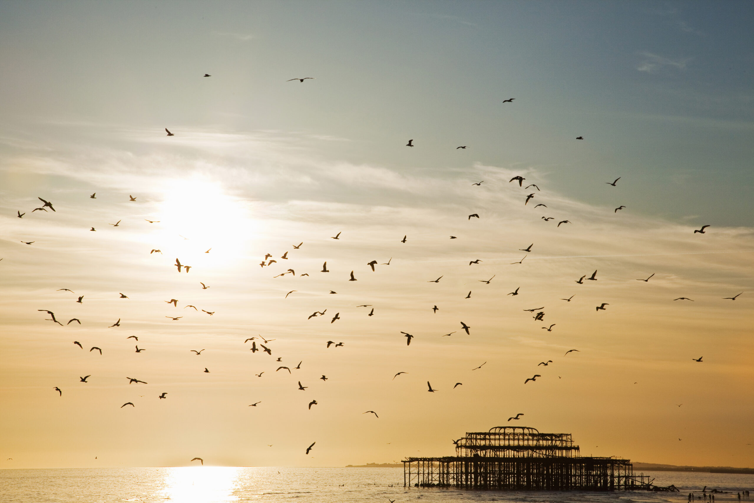 Silhouetted view of seagulls flying over Brighton West Pier