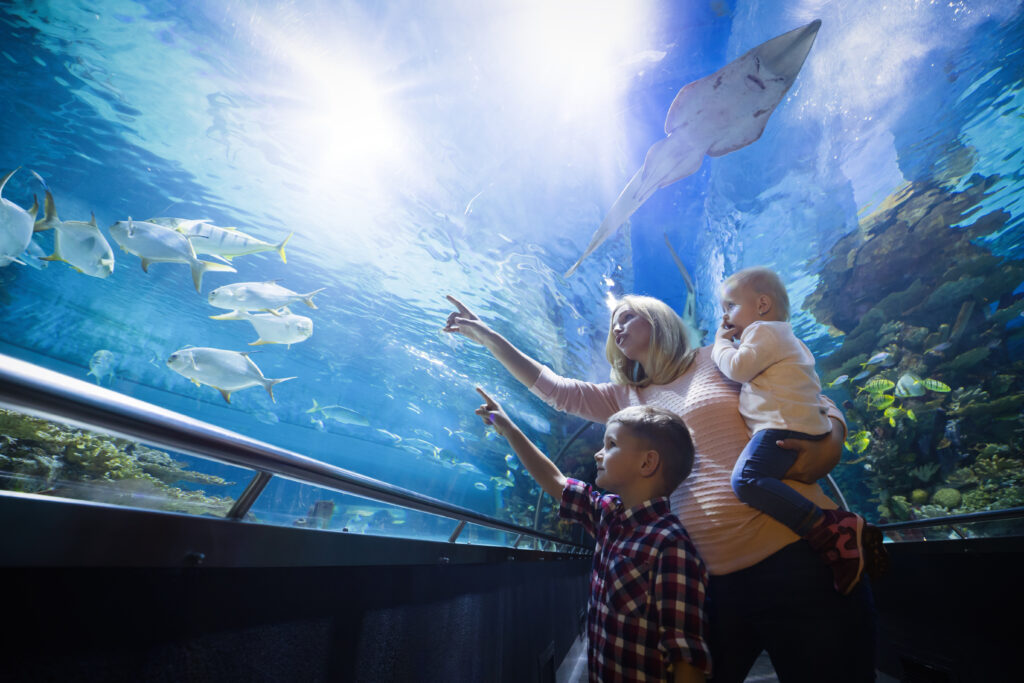 Happy cute family looking at fish tank at the aquarium