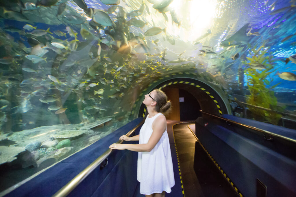 Woman Looks Up At Fish In Aquarium Tunnel