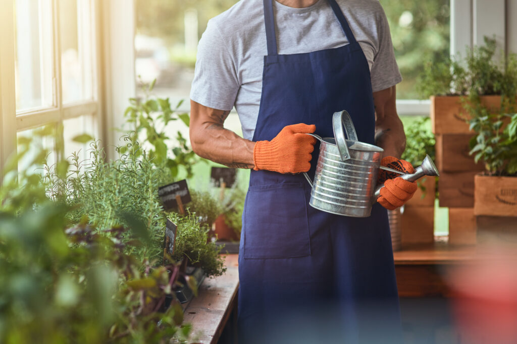 Man holding steel watering can while working in greenhouse with spicy herbs, cropped. 