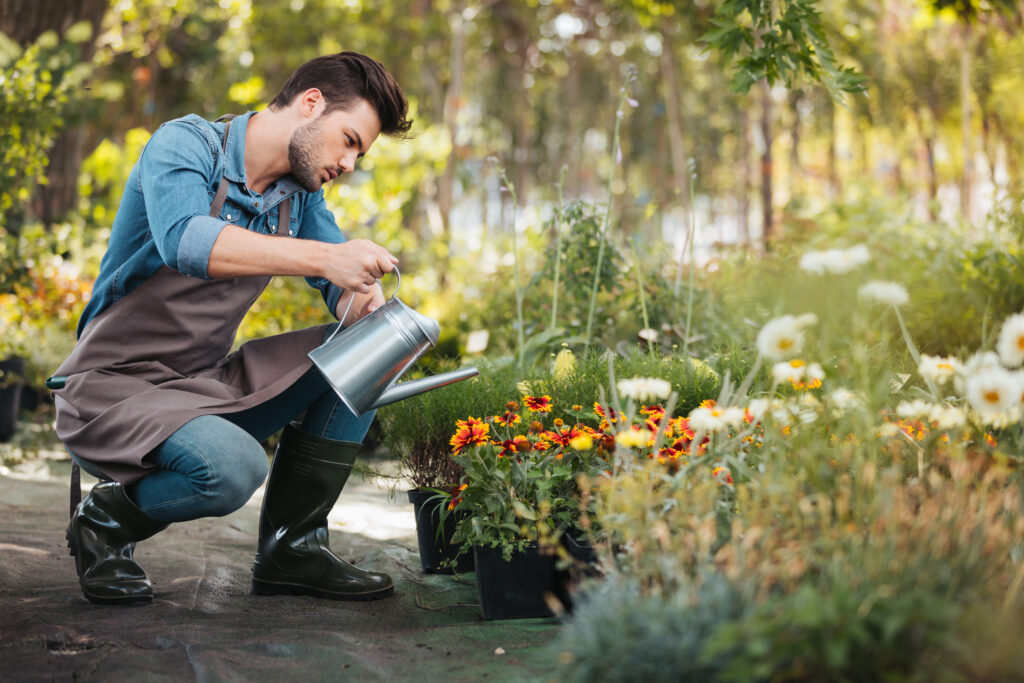 Side view of young gardener in apron and rubber boots with watering can in hand watering plants in