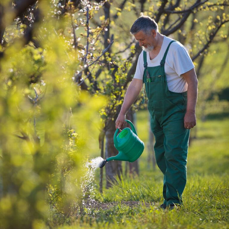 Gardeners in Brighton: a senior man gardening